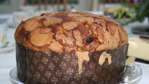 Panettone