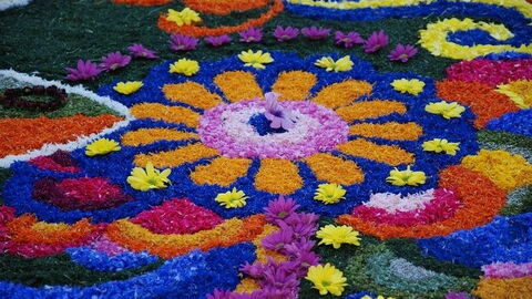 Flower creations in Spello