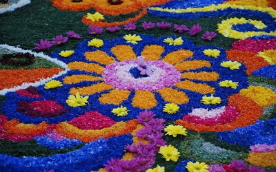 Flower creations in Spello