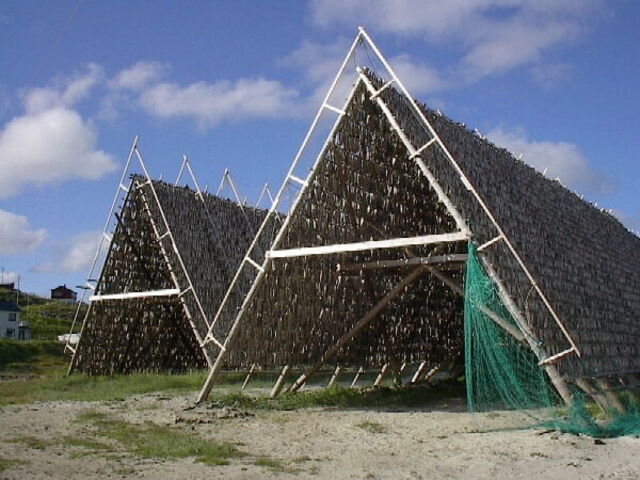 Air drying preservation technique