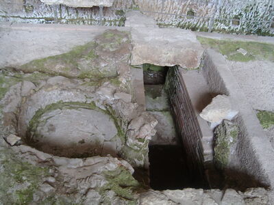 Steps to the Crypta Balbi in Rome