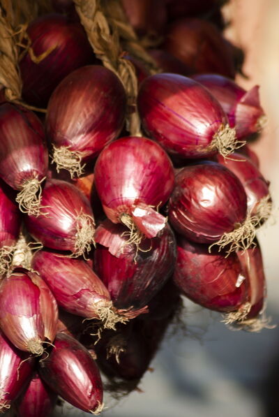Tropea red onions