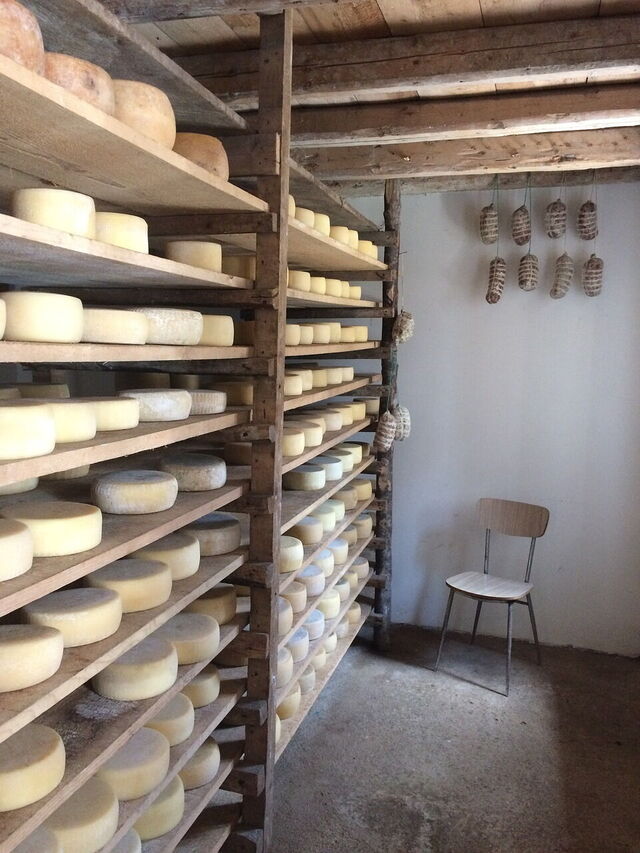 A storage room full of Pecorino