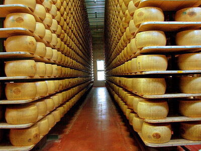 A Parmigiano Reggiano storage room