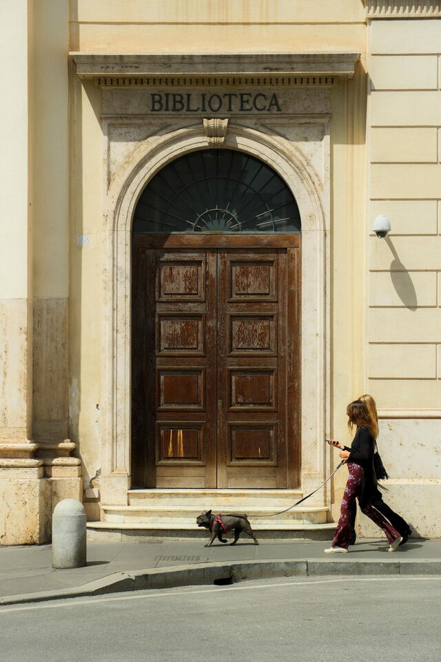 Walking a dog in an Italian city