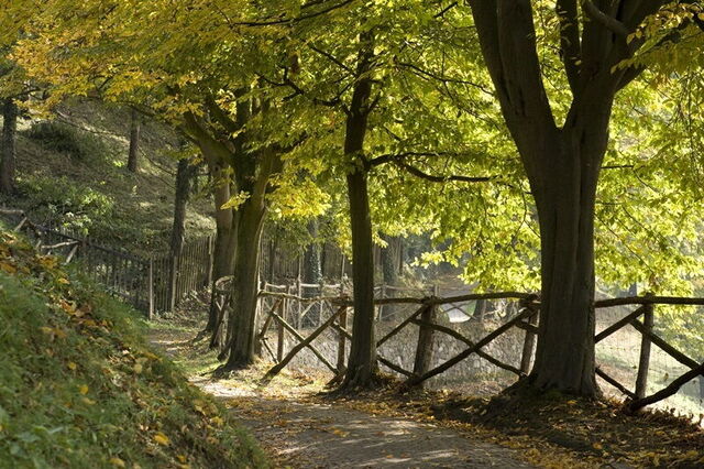 Parco Giardino Sigurtà, autumn walks