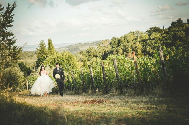 Antico Borgo San Lorenzo, vineyard