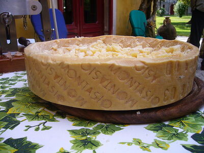 Slab of Montasio Cheese