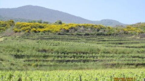 Mount Etna