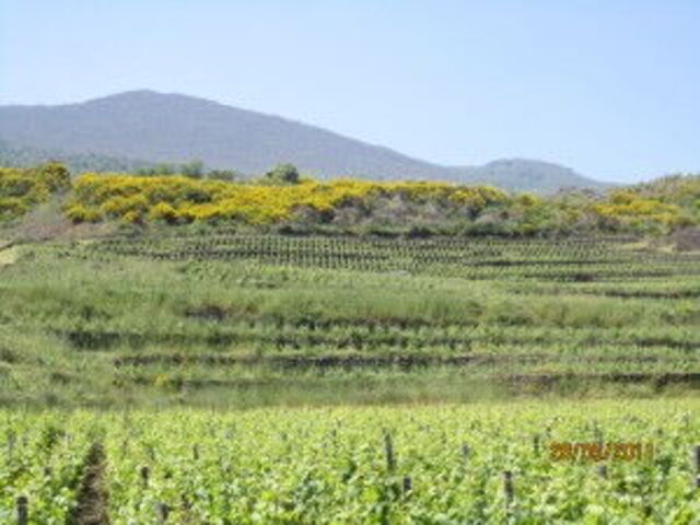 Mount Etna