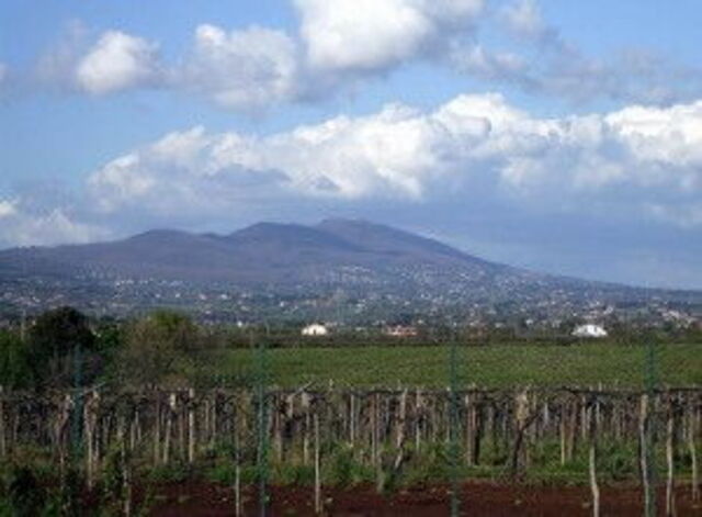 Colli Albani