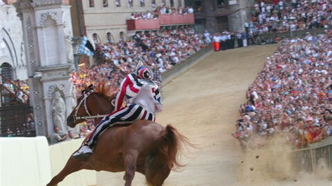 Horse racing at Palio di Siena