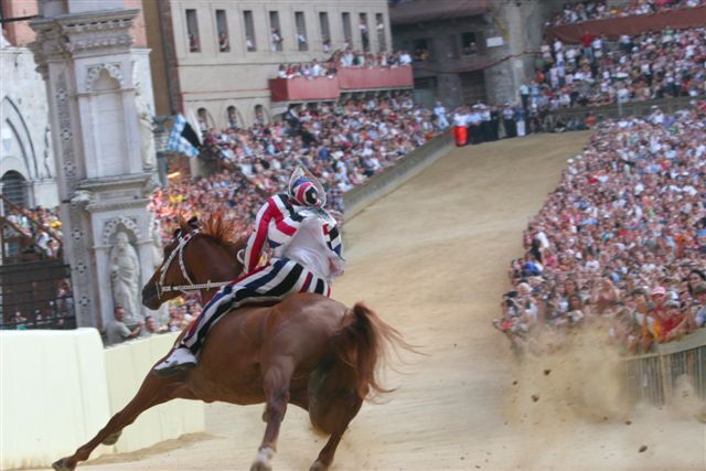Horse racing at Palio di Siena