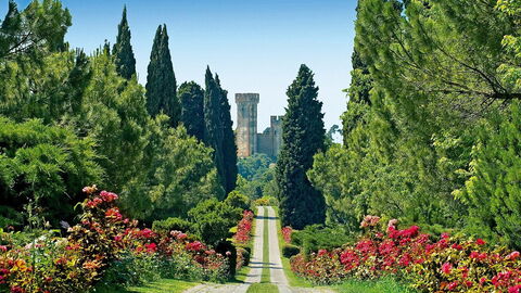 Rose Avenue