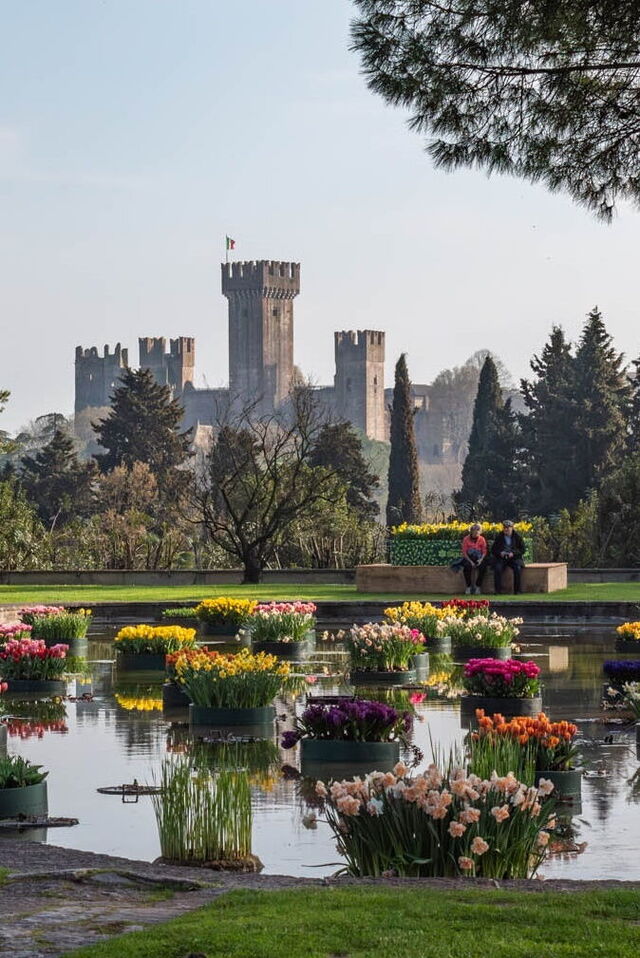 Floating flowerbeds of Tulipanomania