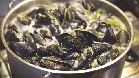 Mussels in a Pot