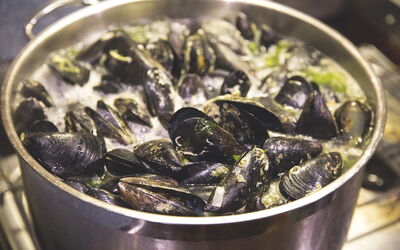 Mussels in a Pot