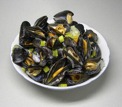 Bowl of mussels