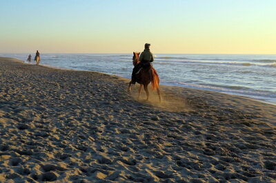 Horseback riding on the Tuscan Coast