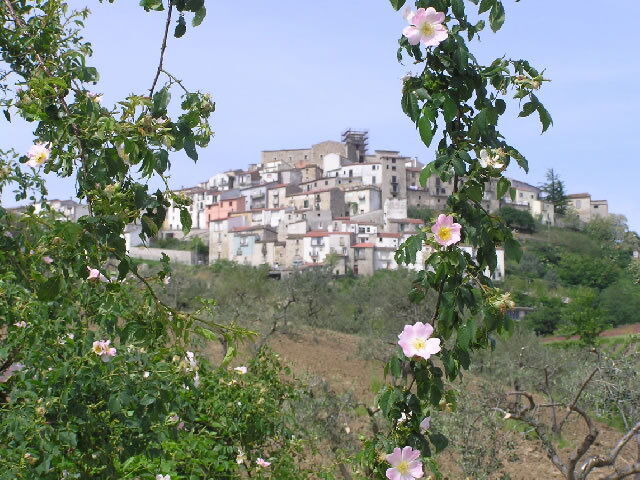 A town in Molise