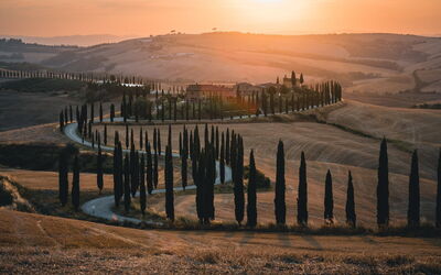 Cypress-lined road in Tuscany