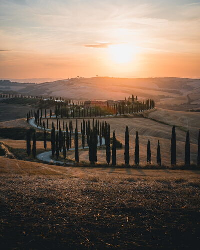Cypress-lined road in Tuscany
