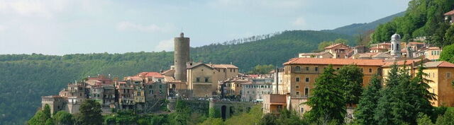 View of Nemi town