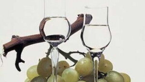Grappa Glasses