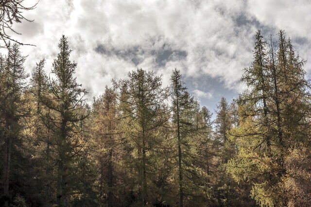Scenery of Aosta Valley