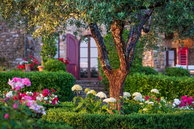 Villa le Corti, garden