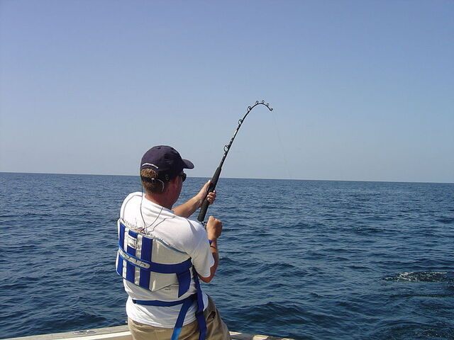 sea fishing