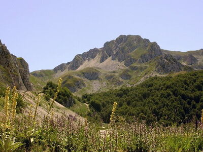 Landscape Around Rieti