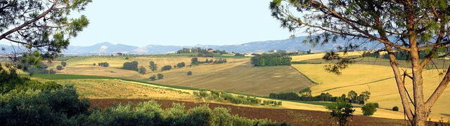 view of the Umbria countryside