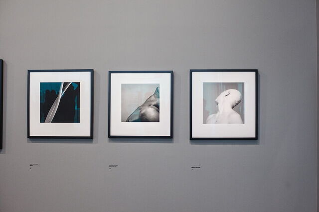 Pieces by Mapplethorpe
