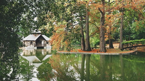 Villa Mosconi Bertani, gardens