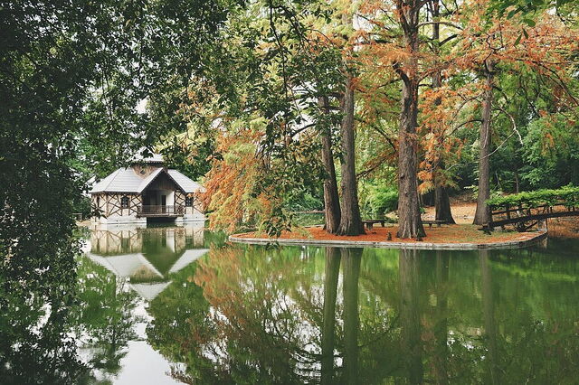 Villa Mosconi Bertani, gardens