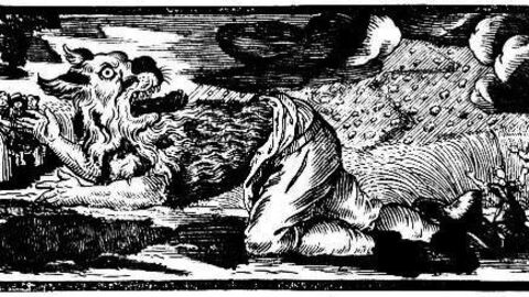 Werewolf illustration