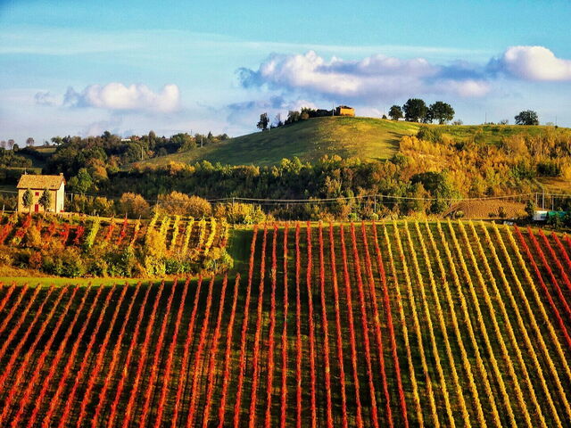 Landscape of Vignola