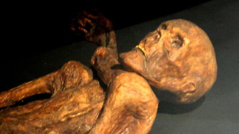 A reconstruction of Otzi/ The Bolzano Iceman