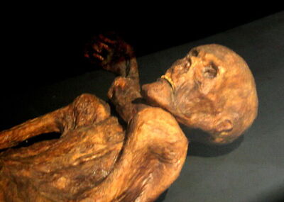 A reconstruction of Otzi/ The Bolzano Iceman