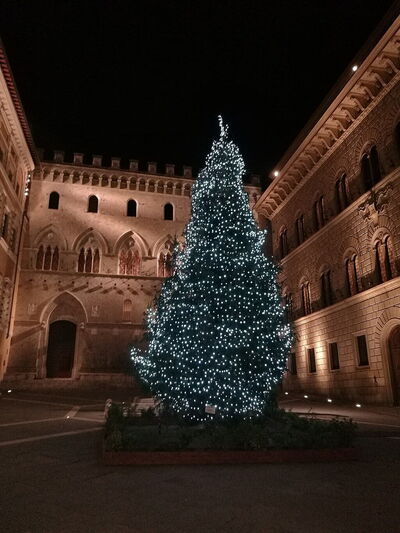 Siena, Piazza Salimbeni, Christmas