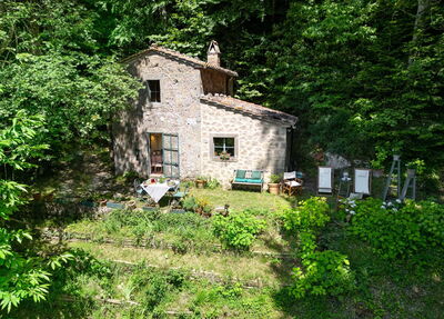 Il Gallinaio