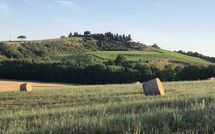 Photo submitted by guest of Cerretalta