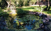 Photo submitted by guest of Casa Cipressi