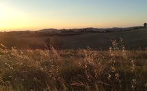 Photo submitted by guest of Casa Cipressi