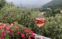 Photo submitted by guest of Villa Mastiano