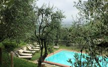 Photo submitted by guest of Villa Mastiano