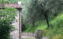 Photo submitted by guest of Villa Mastiano