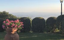 Photo submitted by guest of Casa Ivan