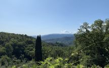 Photo submitted by guest of Villa Grazia